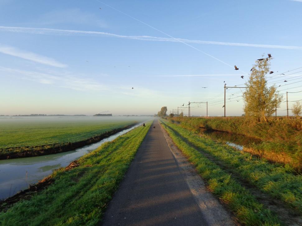 Free Image of Cycling path through fields in the Netherlands  