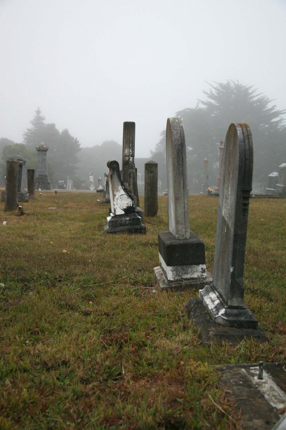 Free Image of Line of headstones 