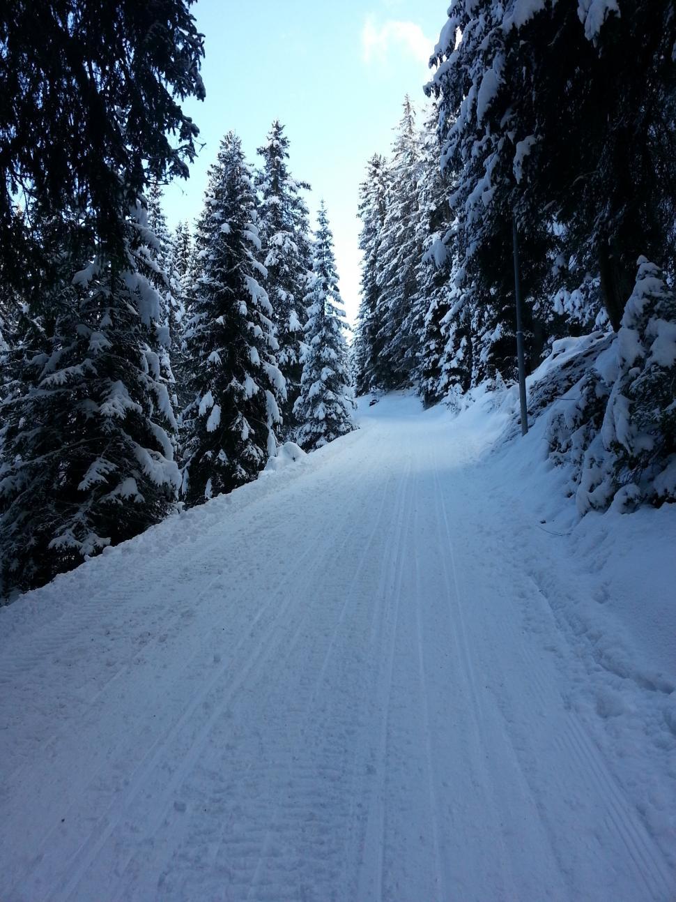Free Image of Snowy mountain narrow path 