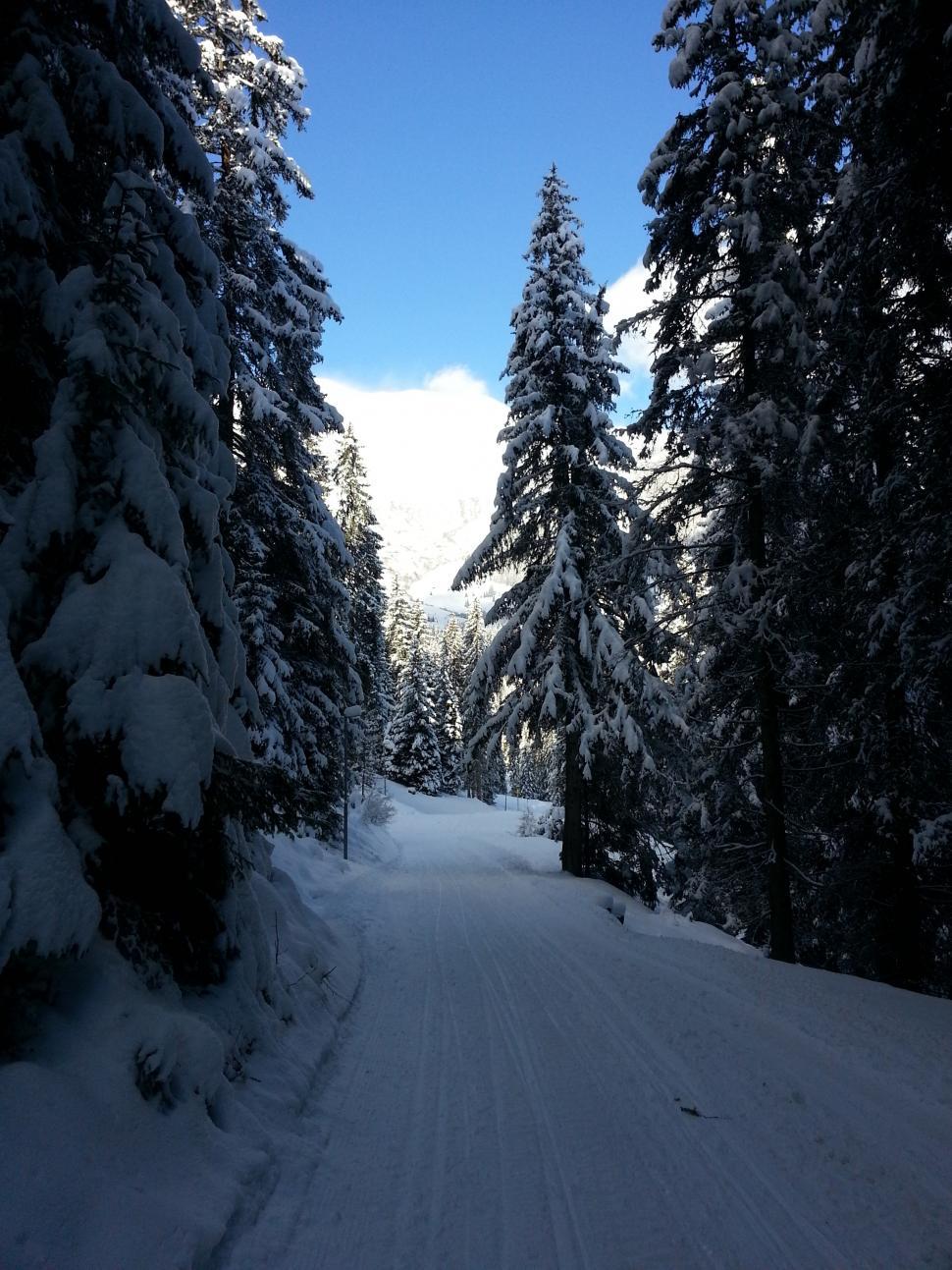 Free Image of Snowy mountain path 