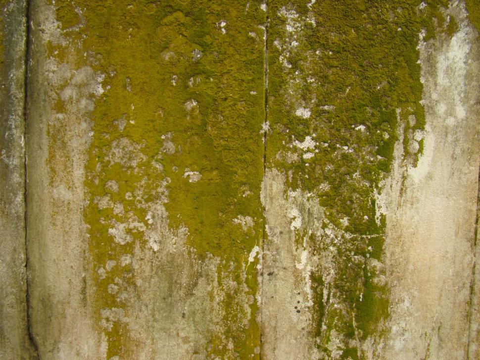 Free Image of Red Fire Hydrant Next to Cement Wall 