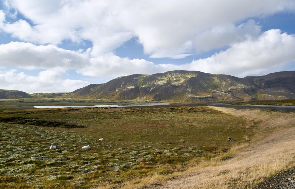 Free Image of Dirt Road Amid Field With Background Mountains 