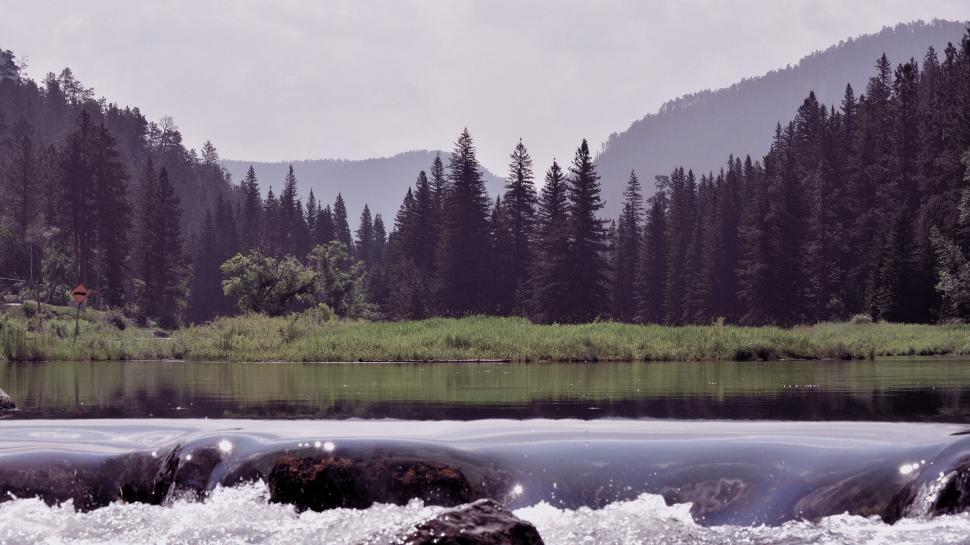 Free Image of Rocky River Flowing Through Nature Reserve 