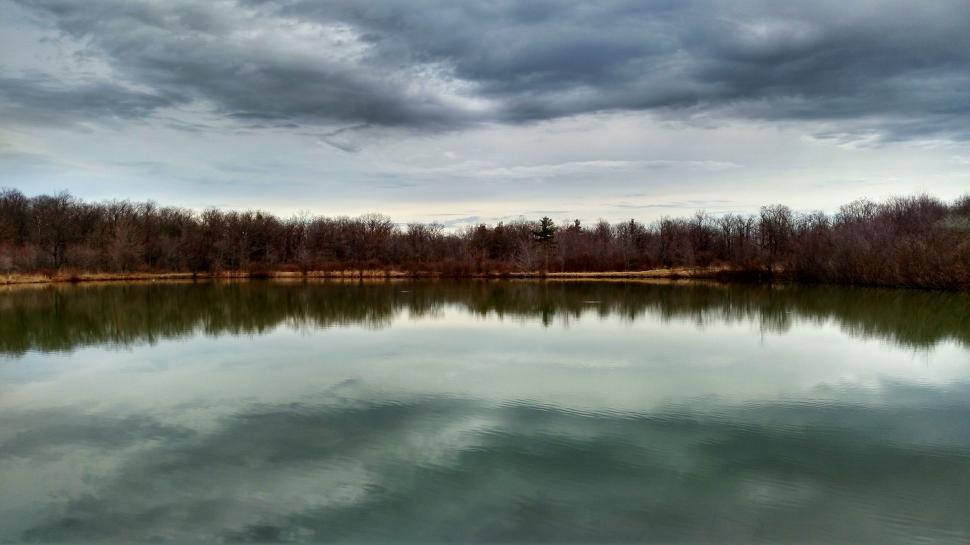Free Image of Large Body of Water Surrounded by Forest 