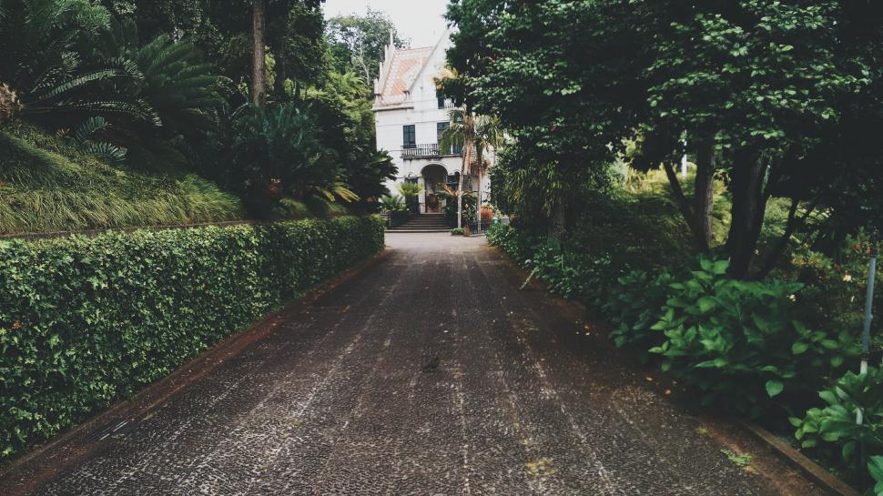 Free Image of Large White House Surrounded by Trees and Bushes 