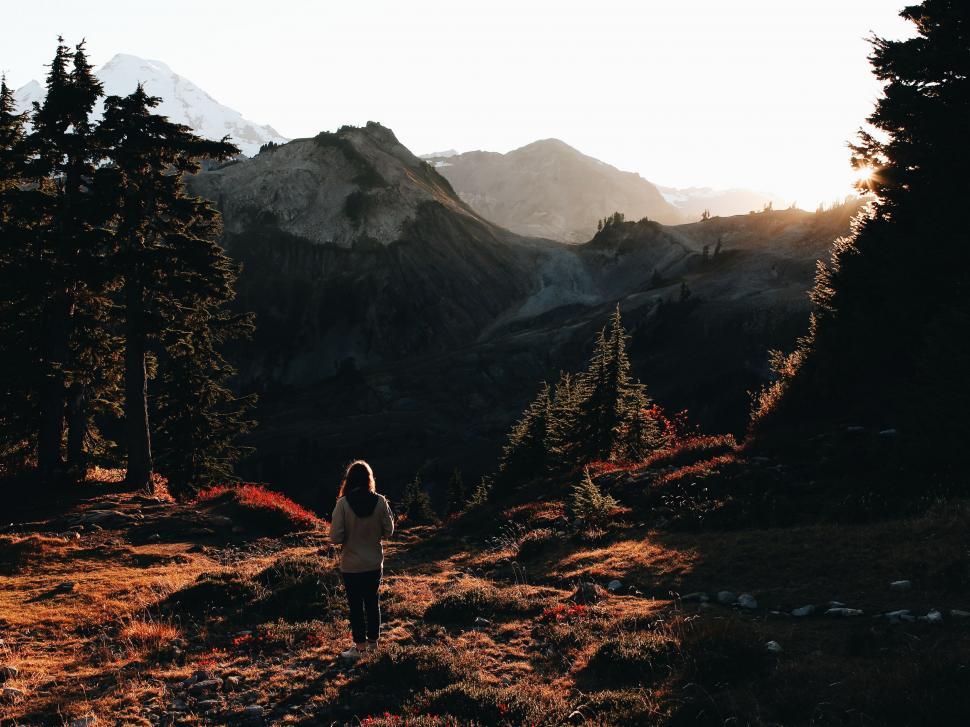 Free Image of Person Standing in Field With Mountains in Background 