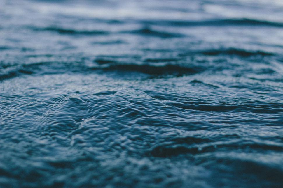 Free Image of Close Up View of Body of Water 