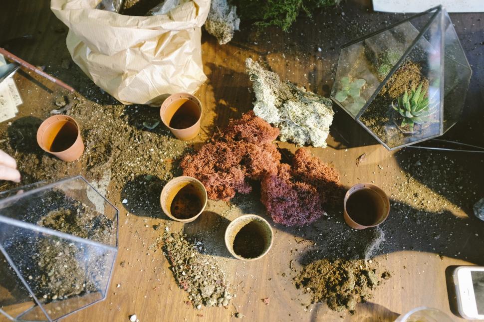Free Image of Wooden Table With Pots Filled With Dirt 