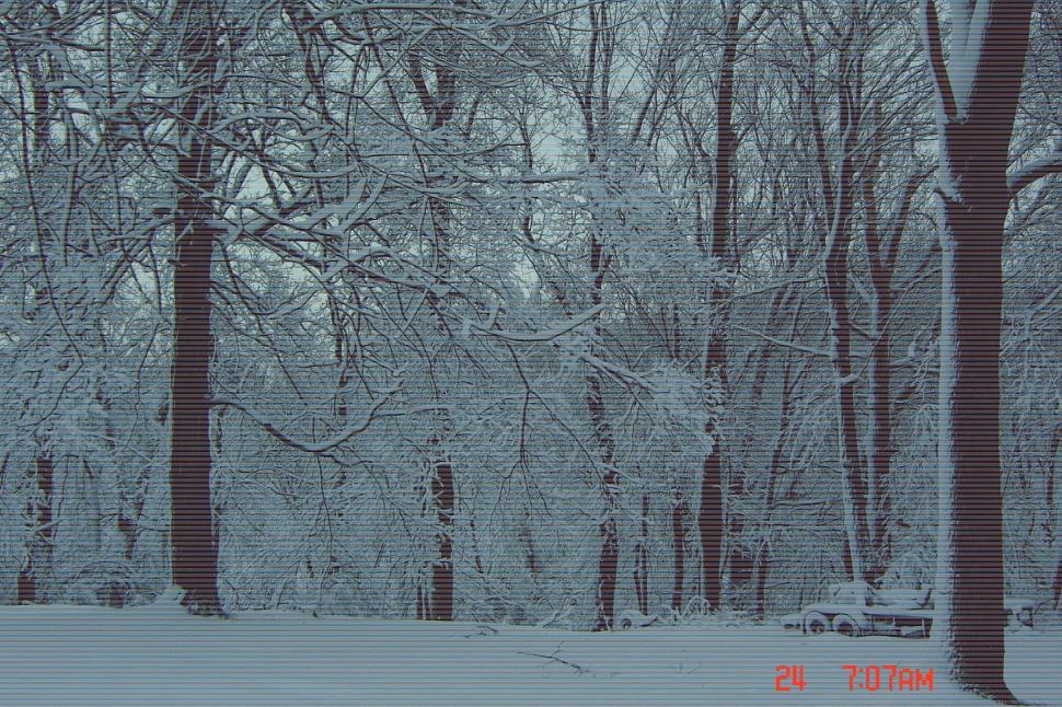 Free Image of New snow at dawn 