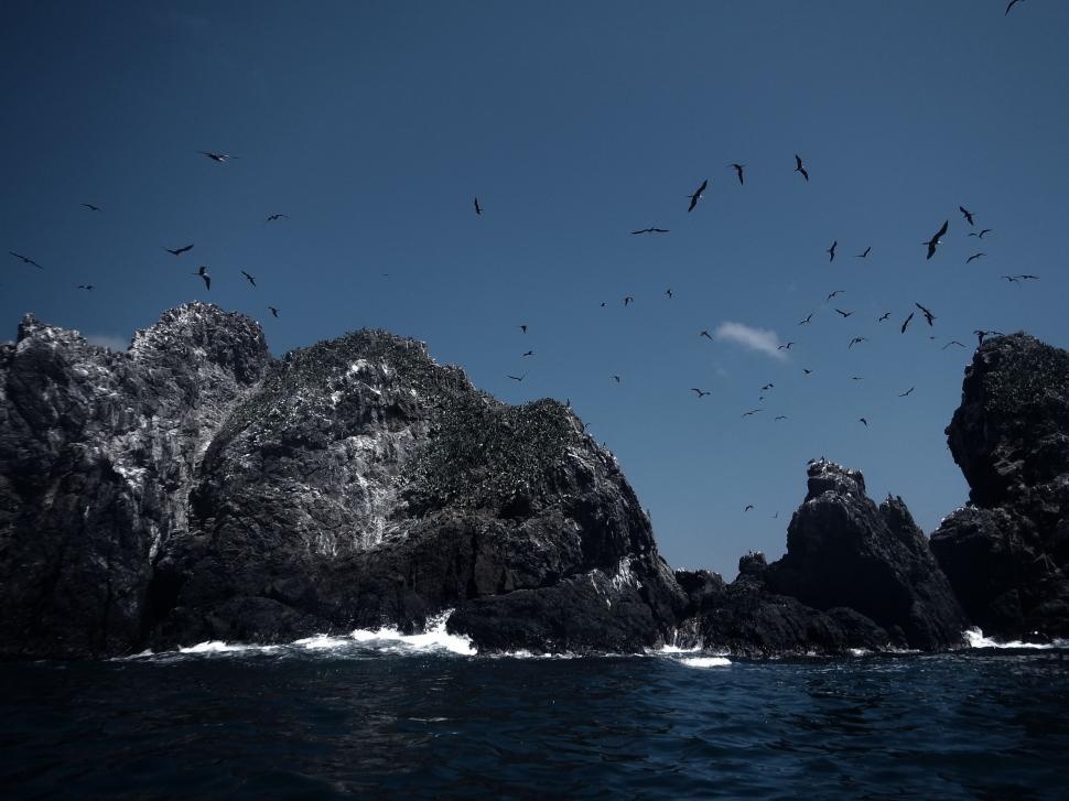 Free Image of A Flock of Birds Flying Over a Body of Water 