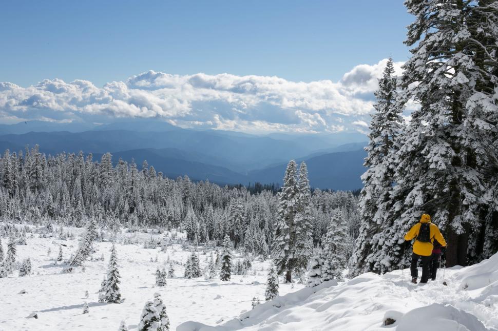 Free Image of Person in a Yellow Jacket Skiing Down a Hill 