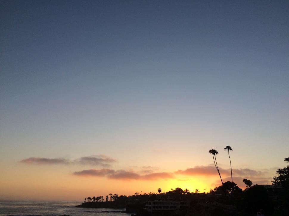 Free Image of Sun Setting Over Ocean With Palm Trees 