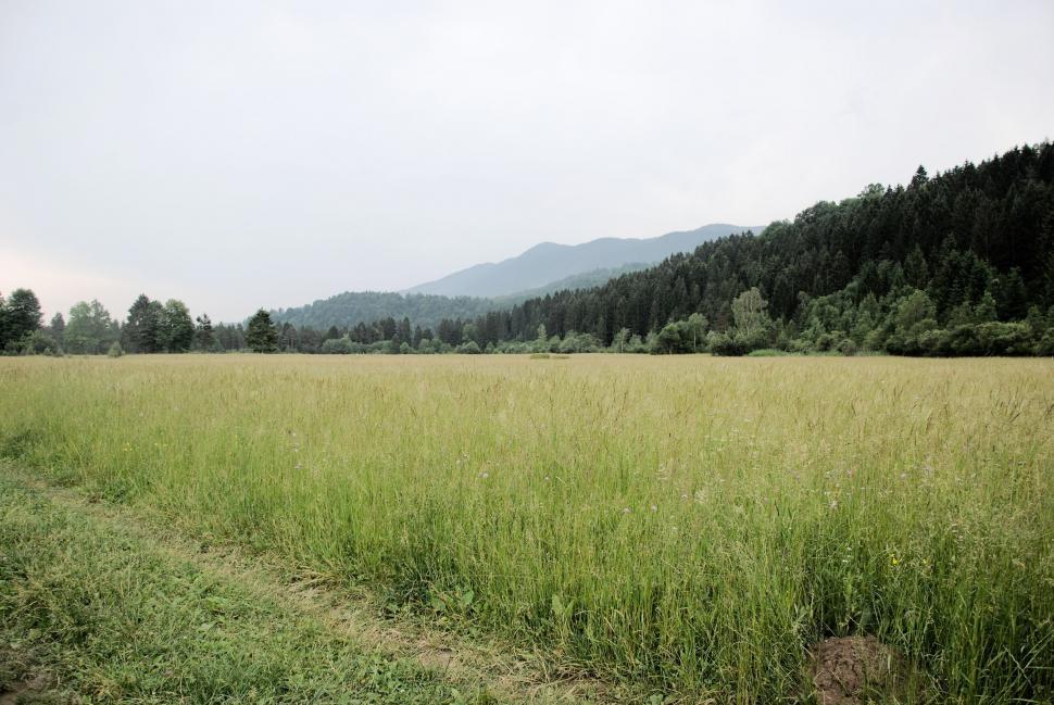 Free Image of Grassy Field With Mountains in the Background 