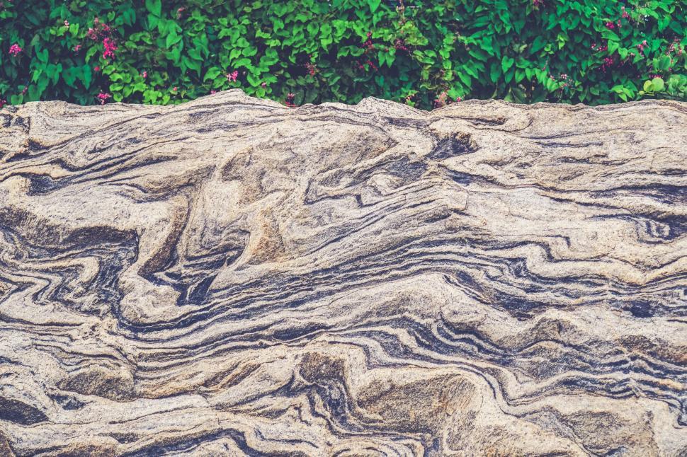 Free Image of Close Up of Rock With Plants in Background 