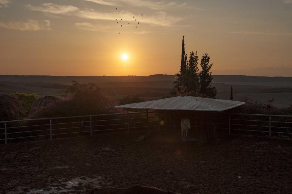 Free Image of Sun Setting Behind Fence in Field 