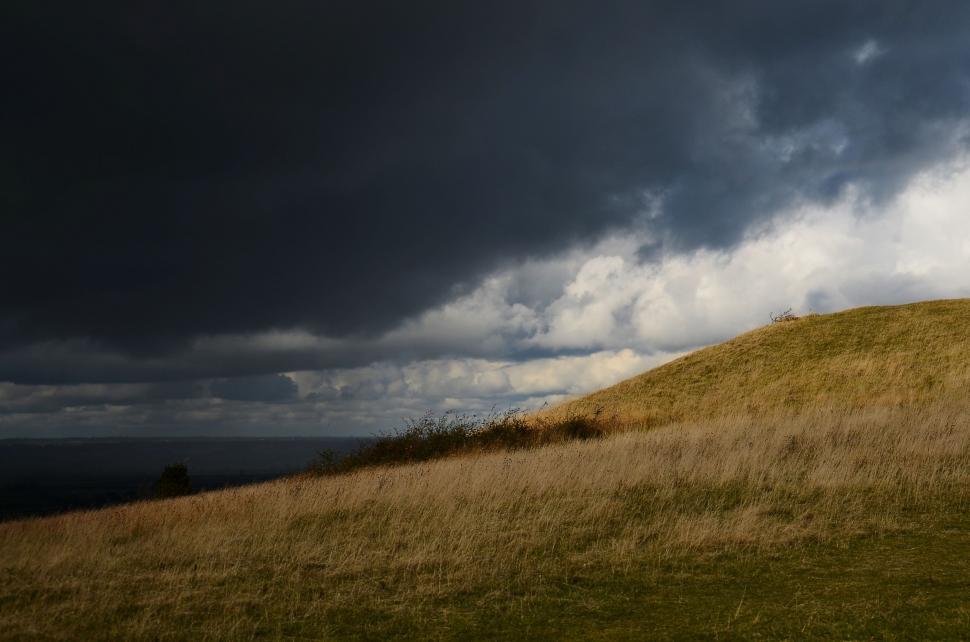 Free Image of Lone Horse Standing on Grass Covered Hill 