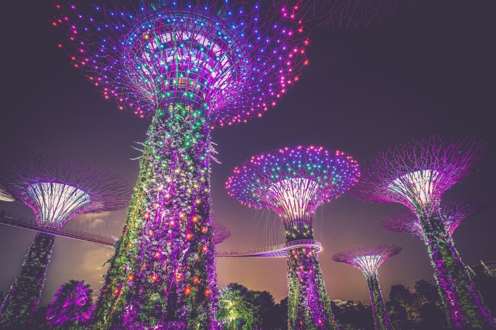 Free Image of Night Time View of the Gardens by the Bay 