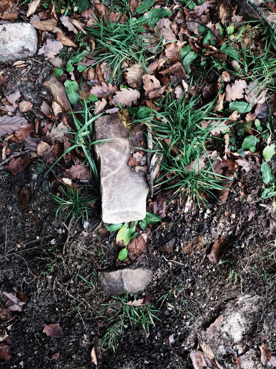 Free Image of A Piece of Paper on Top of a Pile of Dirt 