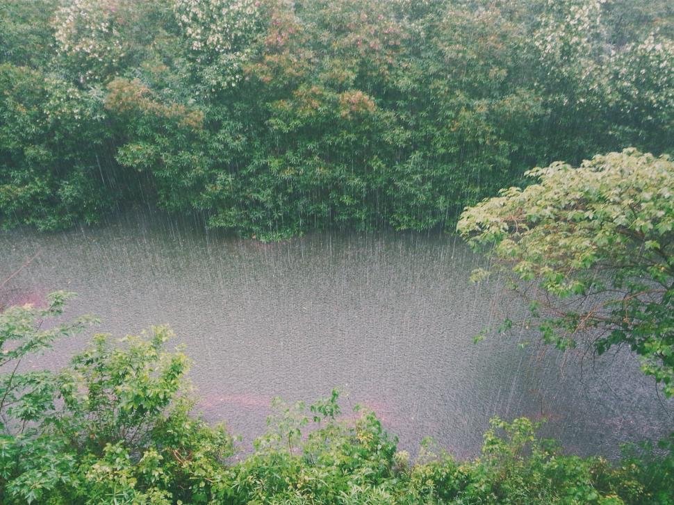 Free Image of Aerial View of Forest and Water 