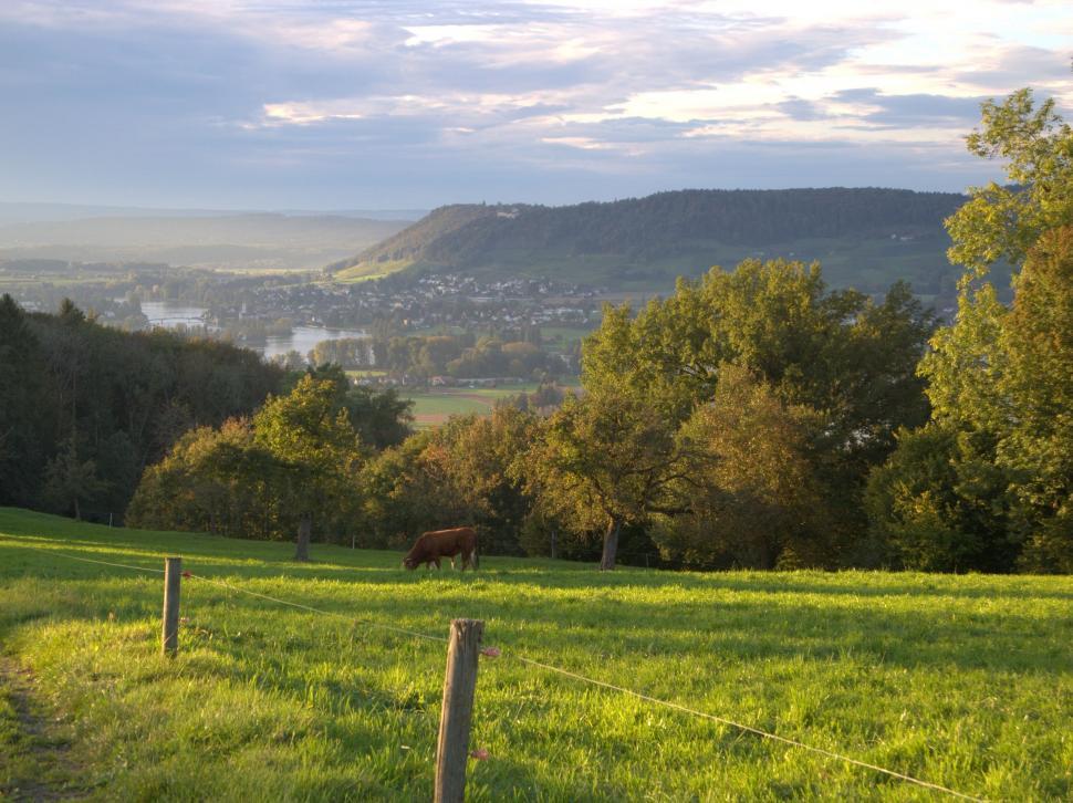 Free Image of Grassy Field With Fence 