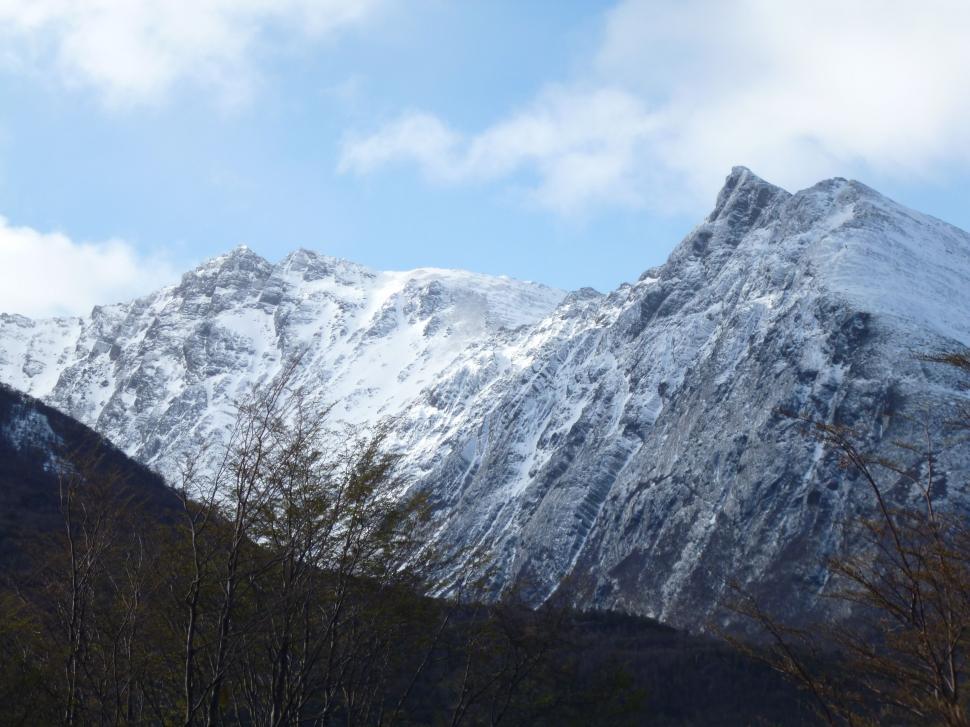 Free Image of Snow Covered Mountain With Trees in Foreground 
