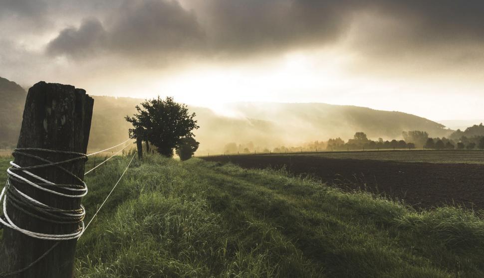 Free Image of Wooden Post in Grassy Field With Tree in Distance 