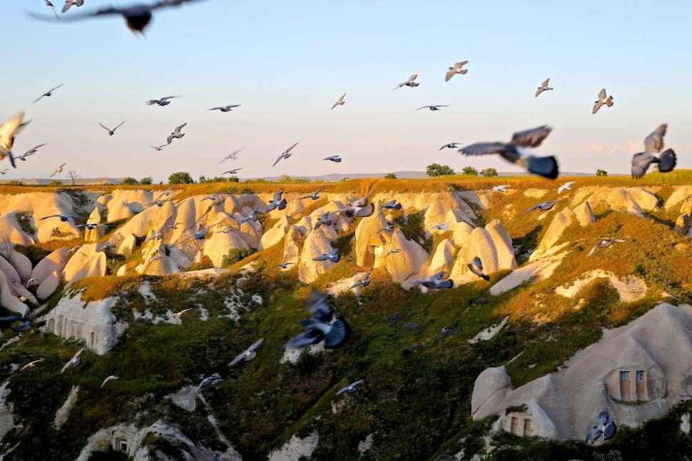 Free Image of A Flock of Birds Flying Over a Rocky Hillside 
