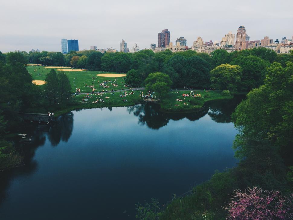 Free Image of Large Body of Water Surrounded by Trees 