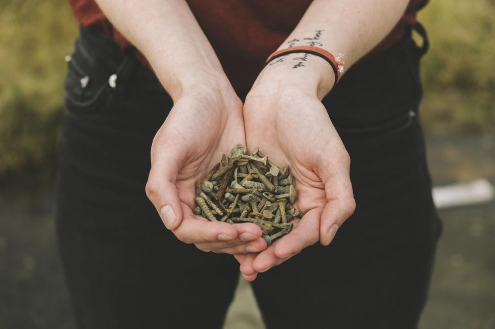 Free Image of Person Holding Handful of Grass 