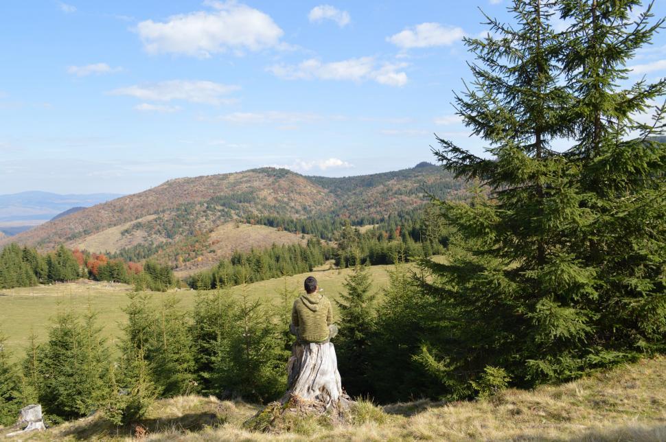 Free Image of Man Standing on Top of Lush Green Hillside 