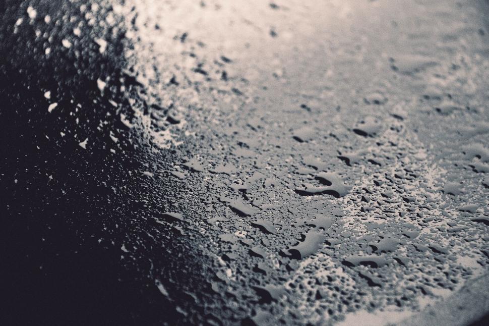 Free Image of Rain Drops On a Leaf 