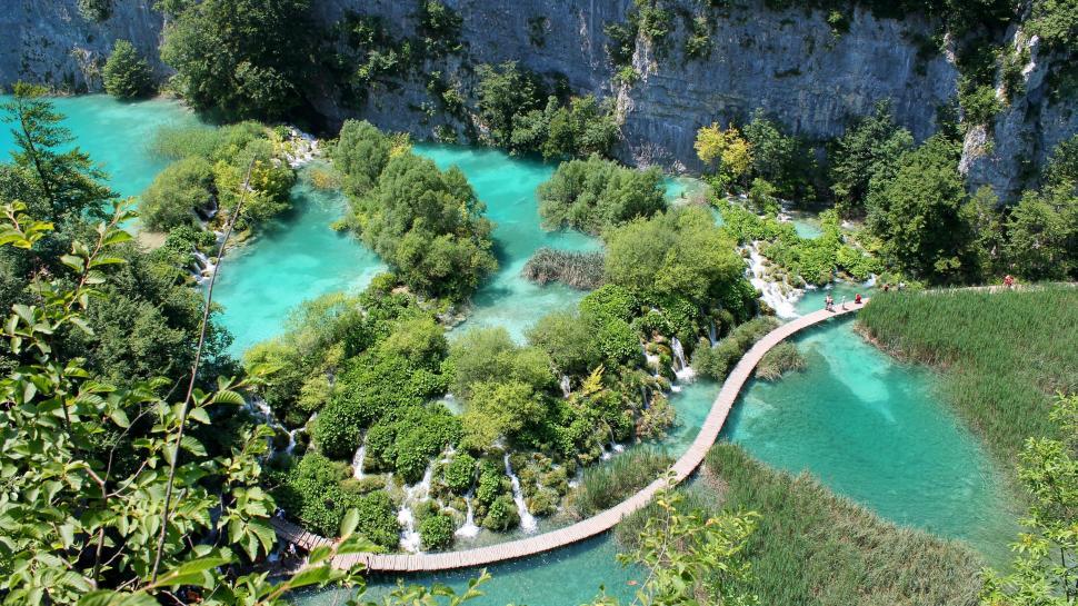 Free Image of River Surrounded by Trees and Water 