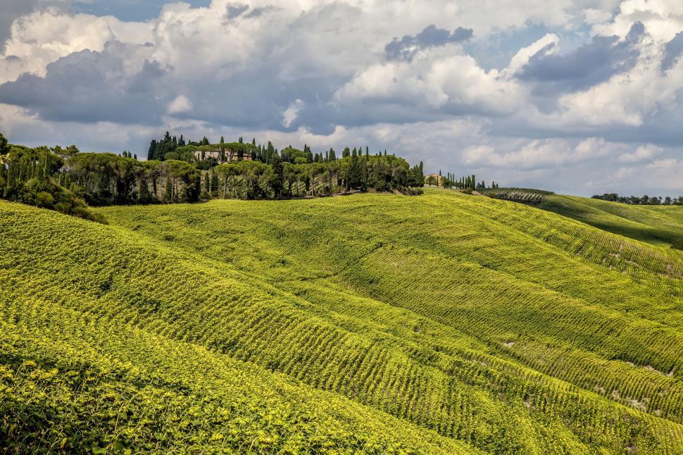 Free Image of Lush Green Hillside Covered in Trees 