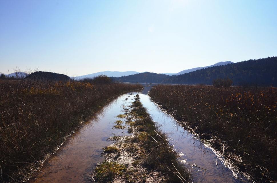 Free Image of Muddy Road in a Field 