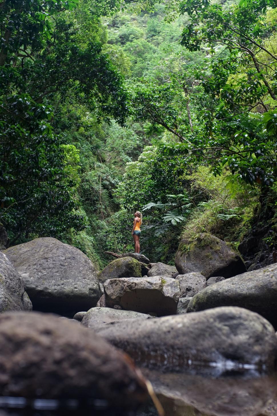 Free Image of Person Standing on Rock in Middle of River 