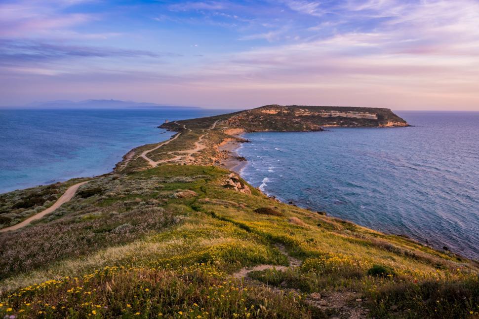 Free Image of A View of the Ocean From a Hill 