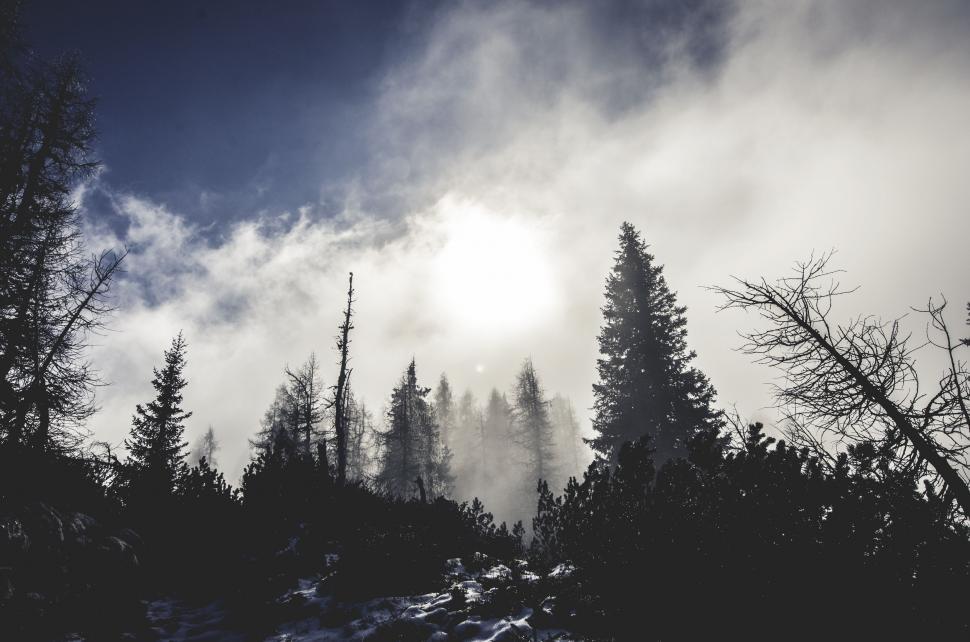 Free Image of Snowboarder Descending Snowy Hill 