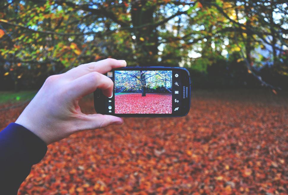 Free Image of Person Taking Picture With Cell Phone 