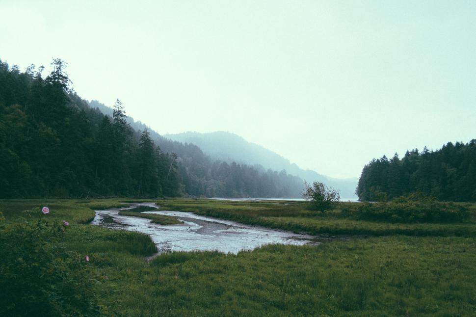 Free Image of River Flowing Through Lush Green Forest 