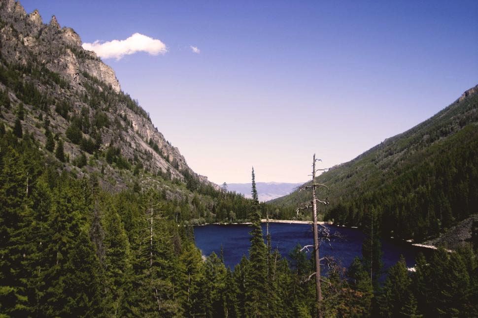 Free Image of A Lake Surrounded by Forest 