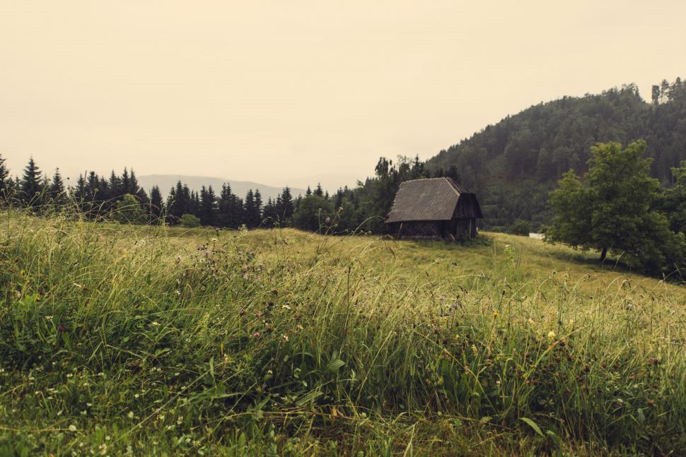 Free Image of House on a Hill With Trees 