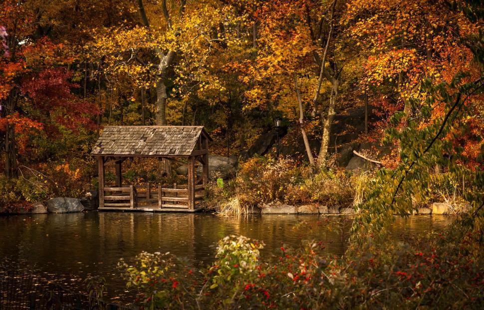 Free Image of Wooden Structure in Middle of Lake Surrounded by Trees 