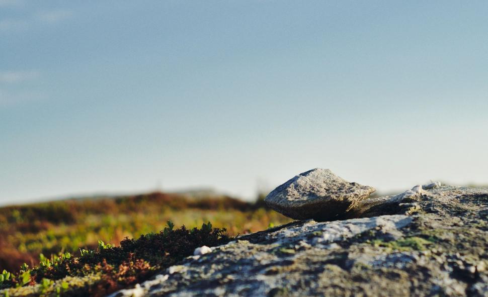 Free Image of Rock on Grass-Covered Field 