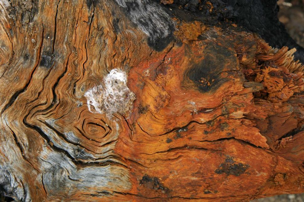 Free Image of Stained wood 