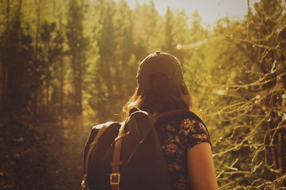 Free Image of Person Walking Through Forest With Backpack 