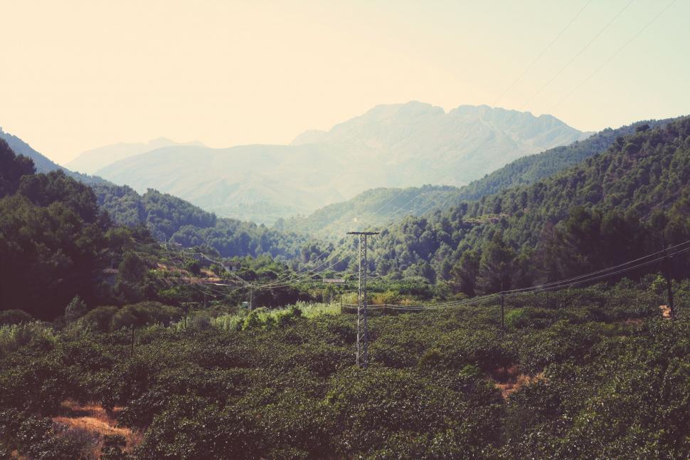 Free Image of Train Traveling Through Lush Green Countryside 
