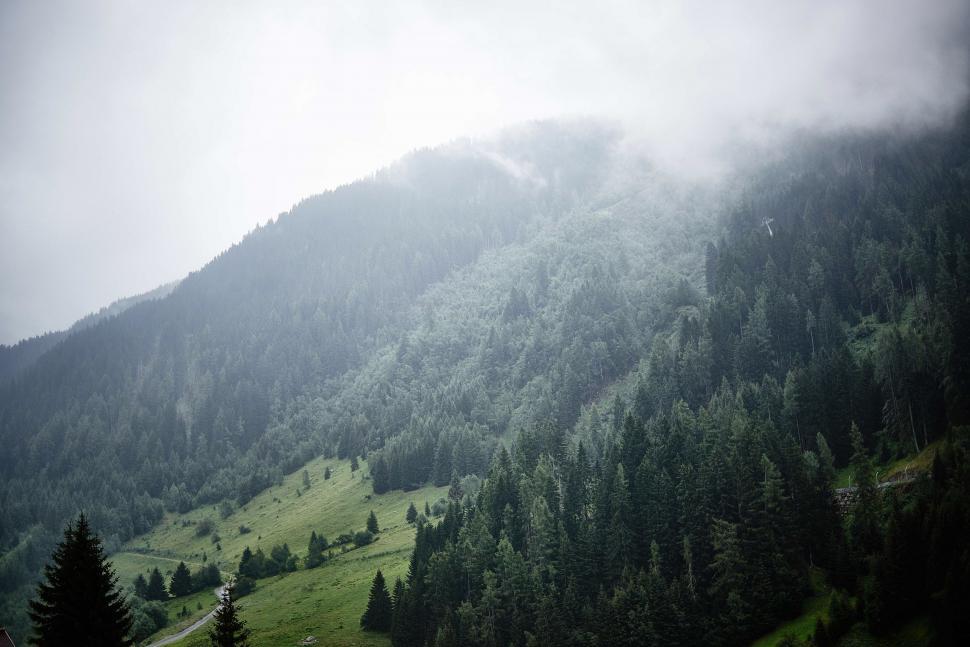 Free Image of Foggy Mountain With Trees 