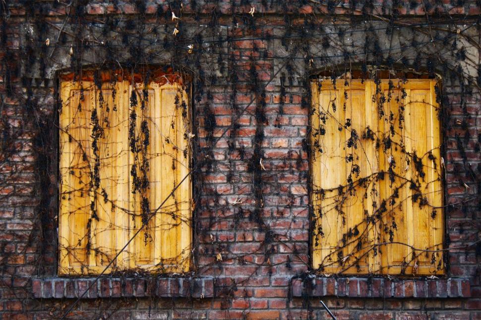 Free Image of Fire Hydrant Next to Two Windows on Brick Building 