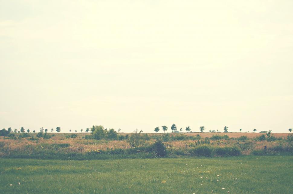 Free Image of Grassy Field With Trees in the Distance 