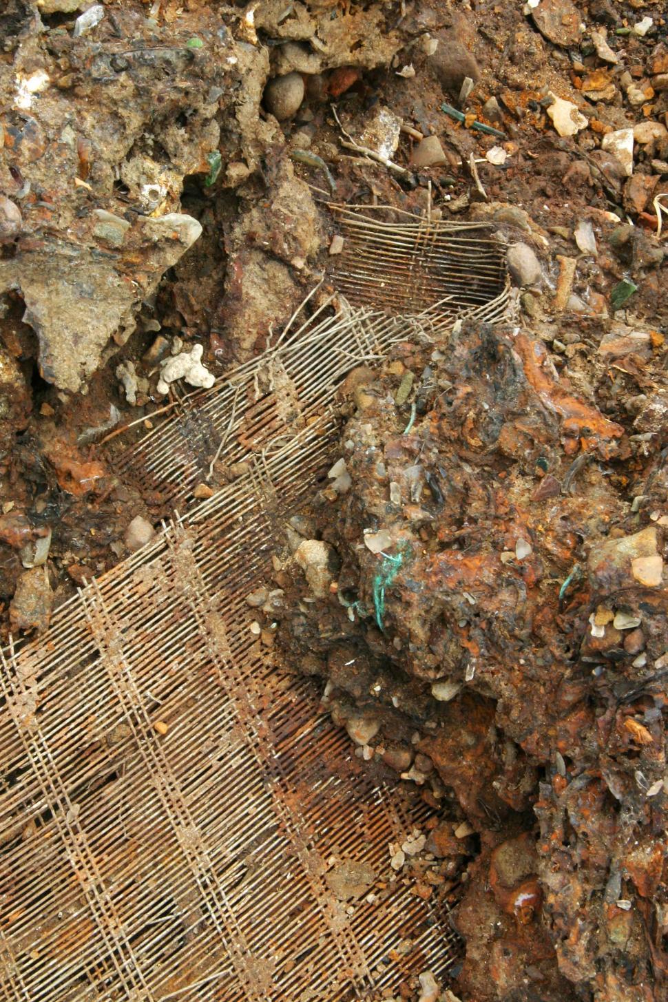 Free Image of Beach debris 